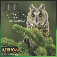 Little Owls CALENDAR 2022: 12 Month Mini Calendar from Jan 2022 to Dec 2022, Cute Gift Idea | Pictures in Every Month B096TJLGJ4 Book Cover