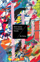 Birth Center in Corporate Woods 1625571550 Book Cover