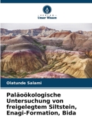 Paläoökologische Untersuchung von freigelegtem Siltstein, Enagi-Formation, Bida (German Edition) 6208077451 Book Cover