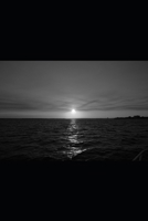 Asesinato en la Calle Flota de Indias: Poncio de la Romazzola (Spanish Edition) B0CPL62W1Y Book Cover