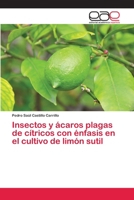 Insectos y ácaros plagas de cítricos con énfasis en el cultivo de limón sutil 6202253673 Book Cover