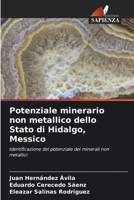 Potenziale minerario non metallico dello Stato di Hidalgo, Messico (Italian Edition) 620903487X Book Cover