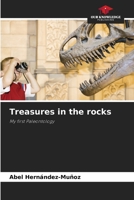 Treasures in the rocks 6205683431 Book Cover