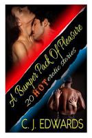 A Bumper Pack of Pleasure: 20 Hot Erotic Stories 1494723751 Book Cover
