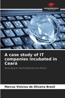 A case study of IT companies incubated in Ceará 6208204496 Book Cover