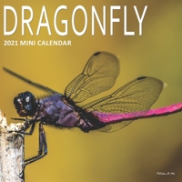 Dragonfly: 2021 Mini Wall Calendar B08P1H4822 Book Cover