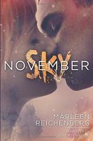 November Sky 1477830898 Book Cover