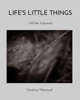 Life's Little Things 1006713824 Book Cover