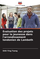 Évaluation des projets pour la jeunesse dans l'arrondissement londonien de Lambeth (French Edition) 6208640059 Book Cover