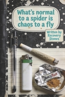 What's NORMAL to a SPIDER Is CHAOS to a FLY: An Addict's Journey B0GJS7K5Q3 Book Cover