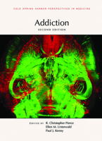Addiction, Second Edition 1621823504 Book Cover