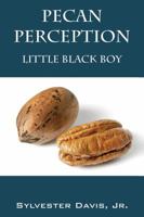 Pecan Perception: Little Black Boy 1478740752 Book Cover
