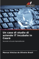 Un caso di studio di aziende IT incubate in Ceará (Italian Edition) 6208204550 Book Cover