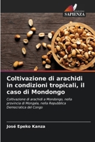 Coltivazione di arachidi in condizioni tropicali, il caso di Mondongo (Italian Edition) 6202491779 Book Cover