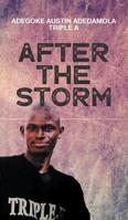 After the Storm 1789556600 Book Cover