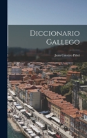 Diccionario Gallego 1017383669 Book Cover