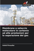 Membrane a setaccio molecolare in carbonio ad alte prestazioni per la separazione dei gas (Italian Edition) 6209557082 Book Cover