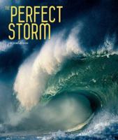 The Perfect Storm 8854405760 Book Cover