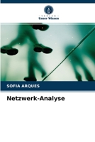 Netzwerk-Analyse 6202863919 Book Cover