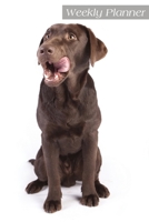 Weekly Planner: Daily Planner Agenda Schedule Organizer 6x9 52 weeks 1677254408 Book Cover