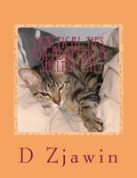 Practical Tips for Adopting a Shelter Cat 1543055753 Book Cover