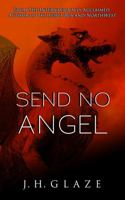 Send No Angel 0983906947 Book Cover