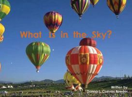What Is in the Sky? 1604577436 Book Cover