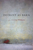 Detroit As Barn 0991146506 Book Cover
