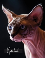 Notebook: Unlined - Unruled - Plain Notebook - Blank Journal - 130 Pages - Large Format 8.5 x 11 in - Workbook - Composition - Cats - Sphynx Cover Design 1716113091 Book Cover