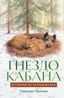 ?????? ??????: ??????? ?? ??????????? (Russian Edition) 500272048X Book Cover
