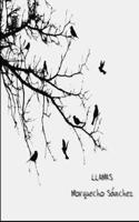Llamas B0BBXTMDC3 Book Cover