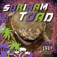 Surinam Toad (Extreme Life Cycles) 153454707X Book Cover