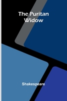 The Puritan Widow 9374836033 Book Cover