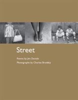 STREET: Poems by Jim Daniels, Photographs by Charlee Brodsky (Working Lives Series) 0933087942 Book Cover