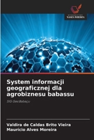 System informacji geograficznej dla agrobiznesu babassu (Polish Edition) 6200743002 Book Cover
