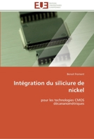 Intégration du siliciure de nickel 384178884X Book Cover