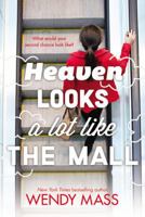 Heaven Looks a Lot Like the Mall 0316058505 Book Cover