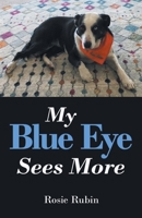 My Blue Eye Sees More B0GHZMYD8K Book Cover