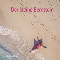 Der kleine Bernstein: Illustriert von Enkelin Lotte 3752841796 Book Cover