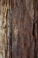 Driftwood: An Epic Journey of Gobbledygook (The B.U.R.N.O.U.T.S. Chronicles) 1537648640 Book Cover