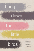 Bring Down the Little Birds: On Mothering, Art, Work, and Everything Else 0816528691 Book Cover