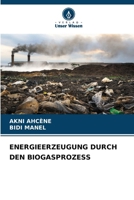 Energieerzeugung Durch Den Biogasprozess (German Edition) 6208358051 Book Cover
