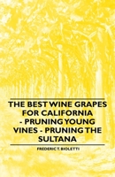 The Best Wine Grapes for California - Pruning Young Vines - Pruning the Sultana 1013598490 Book Cover