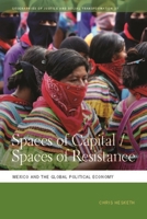 Spaces of Capital/Spaces of Resistance: Mexico and the Global Political Economy 0820352845 Book Cover