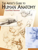 The Artist's Guide to Human Anatomy 0785800549 Book Cover