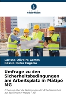 Umfrage zu den Sicherheitsbedingungen am Arbeitsplatz in Matipó MG (German Edition) 6208163986 Book Cover