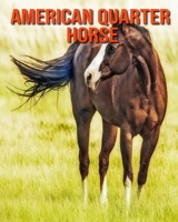 American Quarter Horse: Learn About American Quarter Horse and Enjoy Colorful Pictures B08MHPYNLH Book Cover