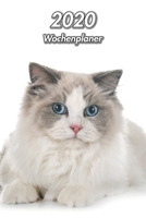2020 Wochenplaner: Ragdoll | 107 Seiten, 15cm x 23cm ca. A5 | Taschenkalender | Terminplaner | Tagebuch | Terminkalender | Organizer für Katzenliebhaber (German Edition) 1671926633 Book Cover