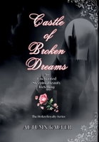 Castle of Broken Dreams B0H5YDG4P8 Book Cover