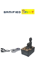 Gamified Spirit 1387822071 Book Cover